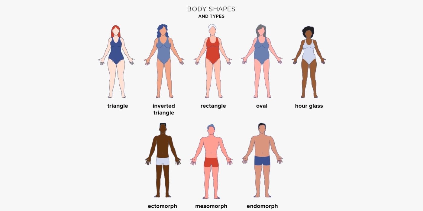 Body Types